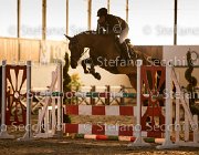 Cantlena FZ TosTour2013- S5 3119 : Arezzo, Arezzo Equestrian Centre, Cantlena FZ, Cavalli d'Italia, Toscana Tour 2013, foto di Stefano Secchi ©